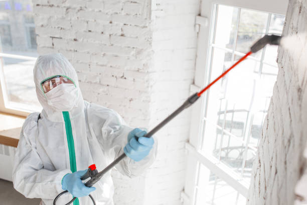 Asbestos and Lead Testing During Mold Inspection in Fort Mitchell, KY